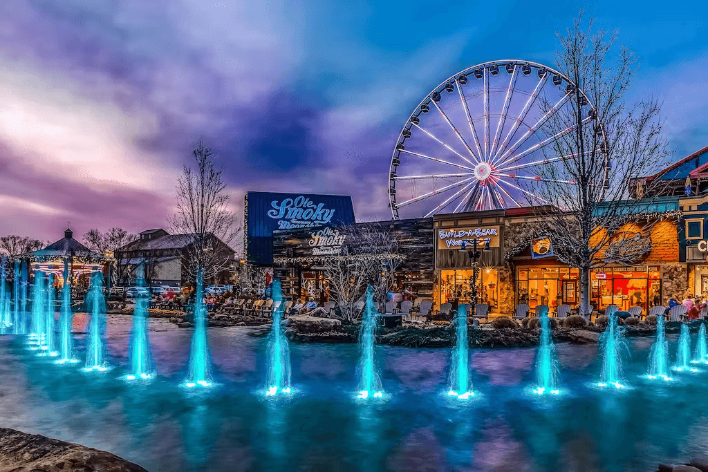 Bear Tracks - Image 33