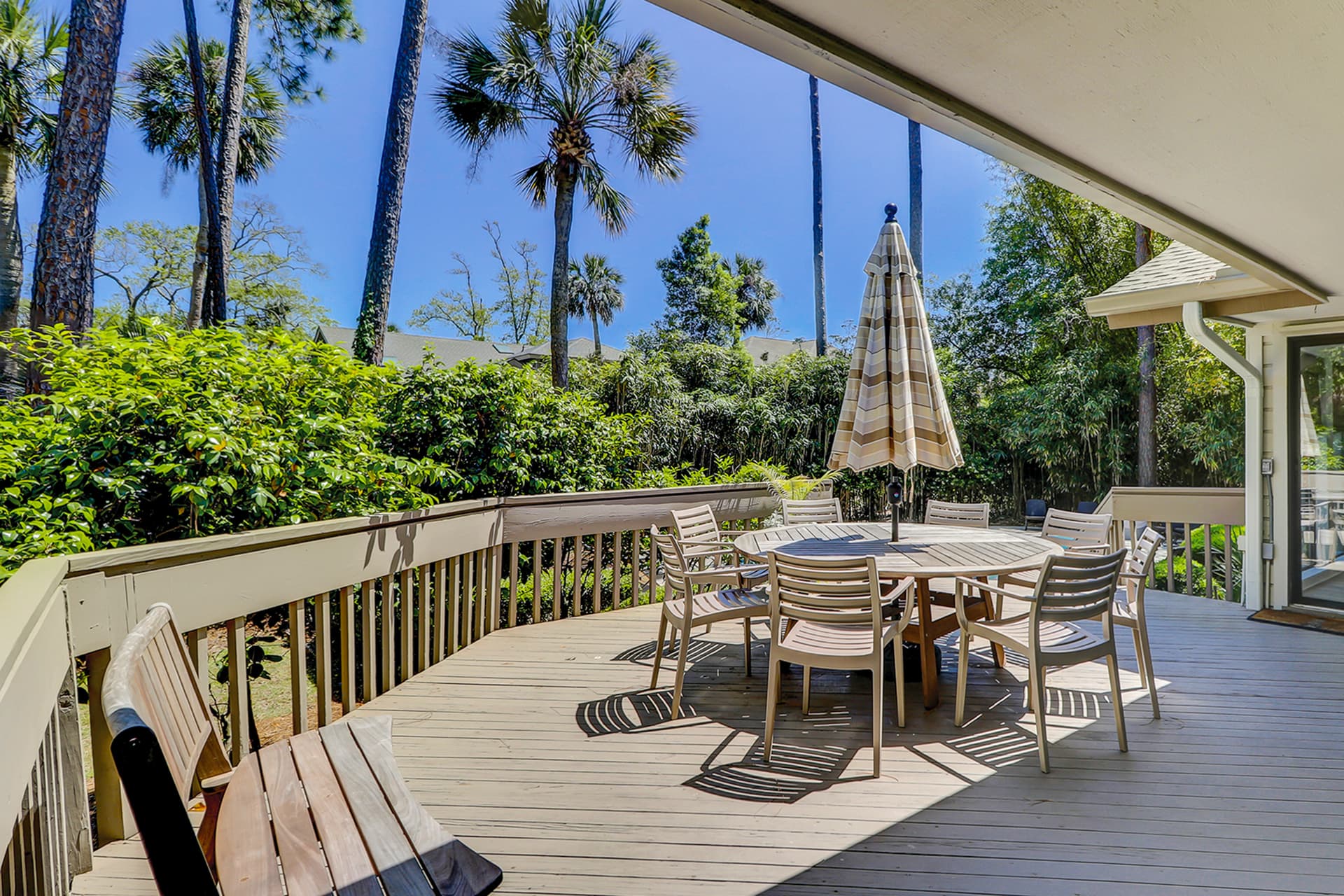 Sunny Daze - Image 3