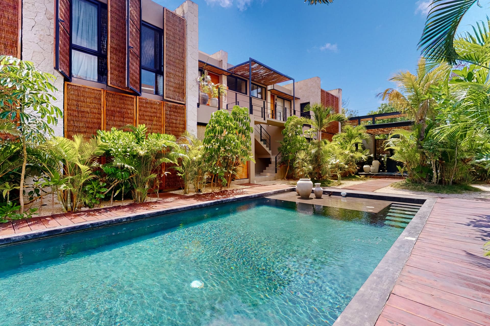 Fronds and Sun - Image 19