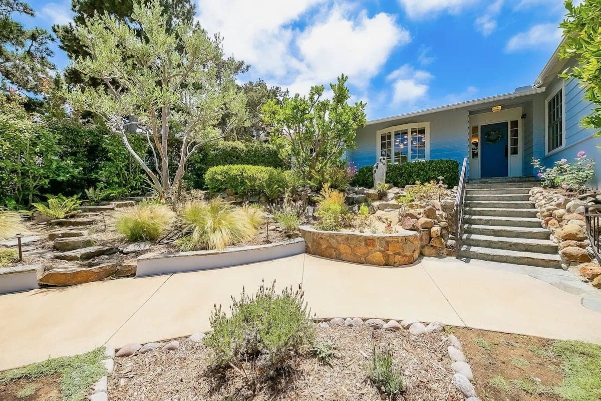 Shores Perfection - Image 6