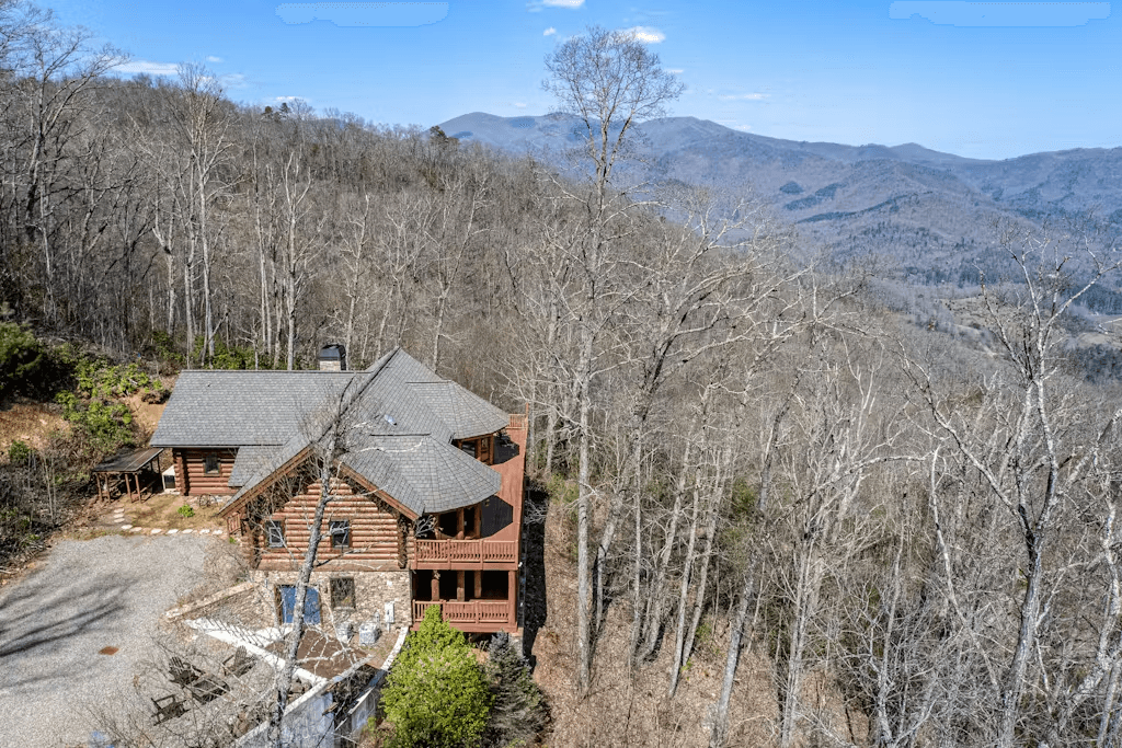 Two Bears - Image 48