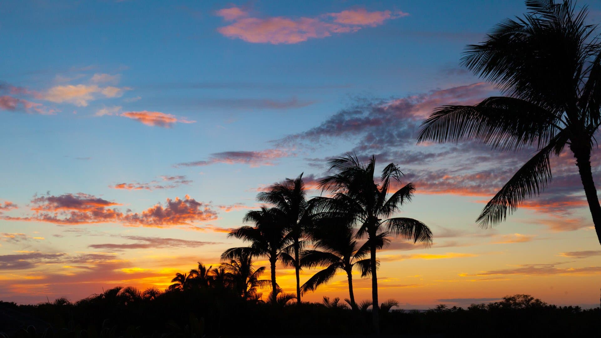 Sea to Sky - Image 46