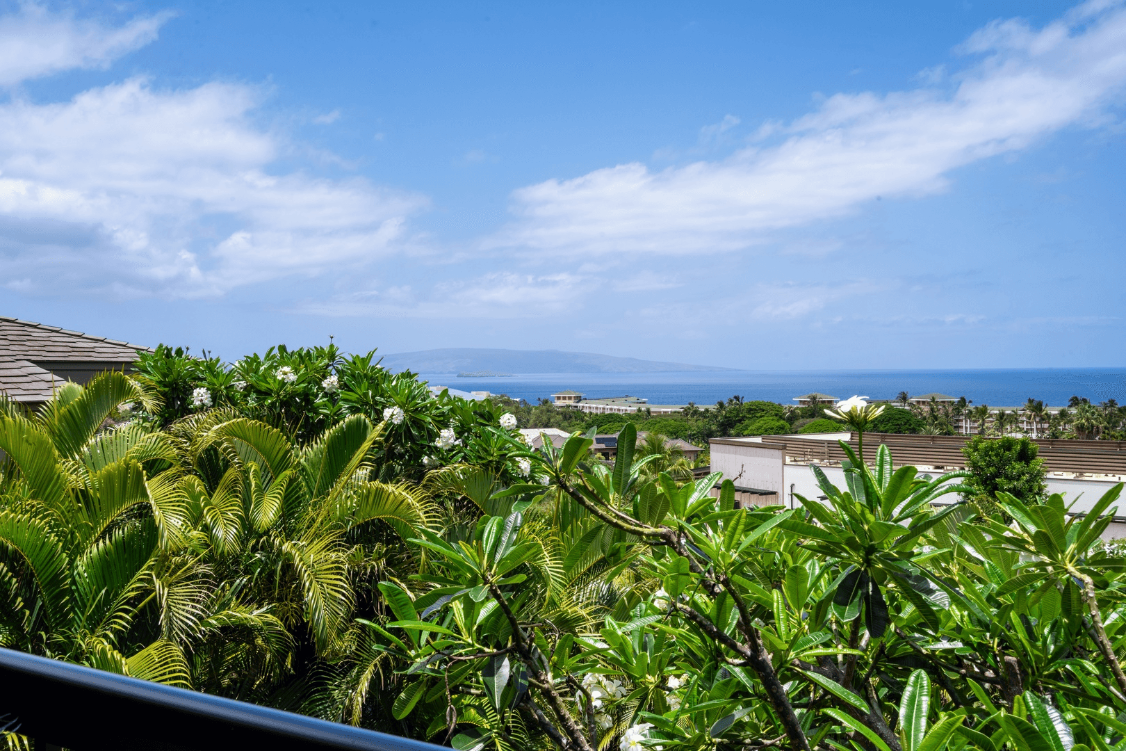 Wailea Ekolu #204 - Image 39