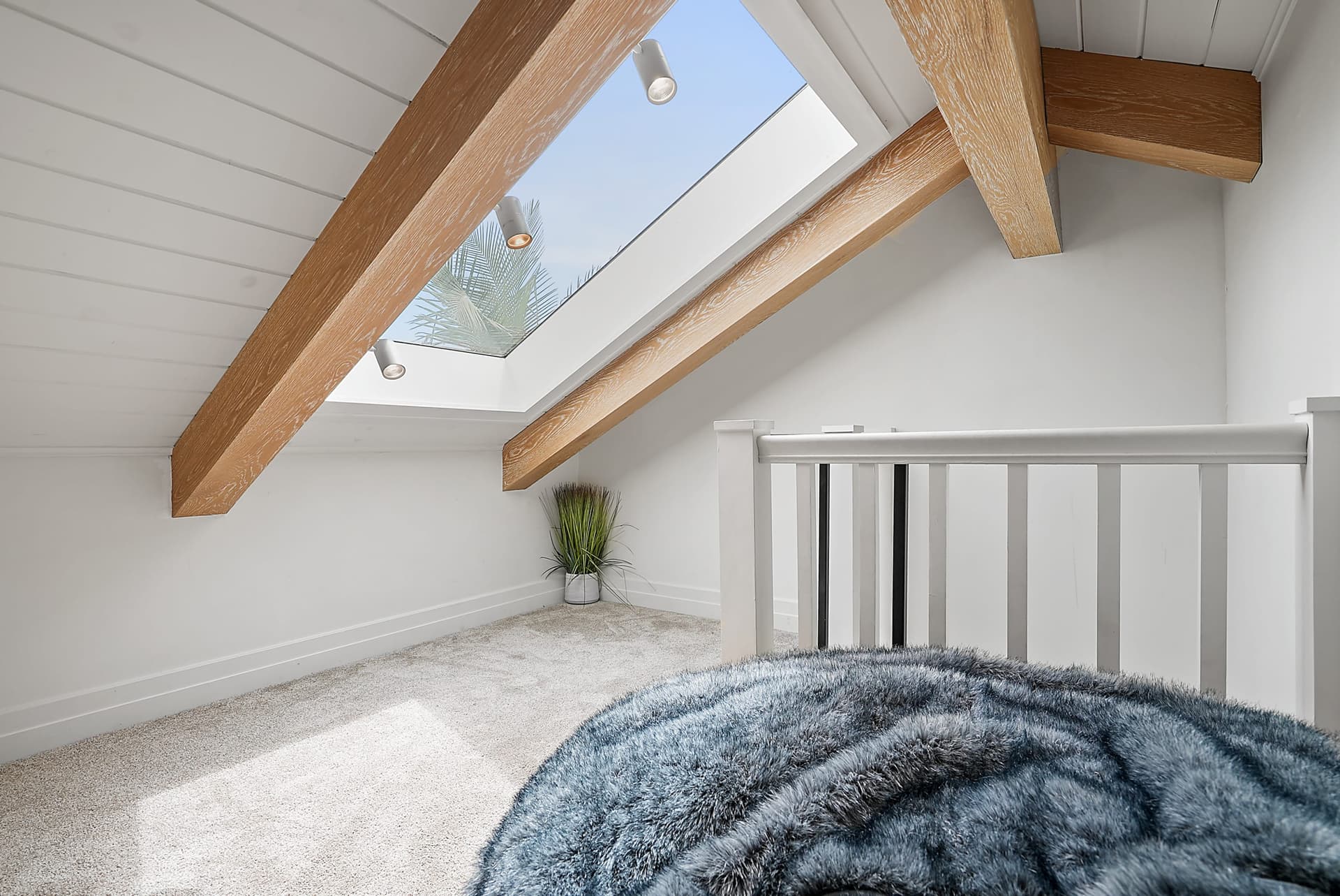 Neptune Experience - Image 31