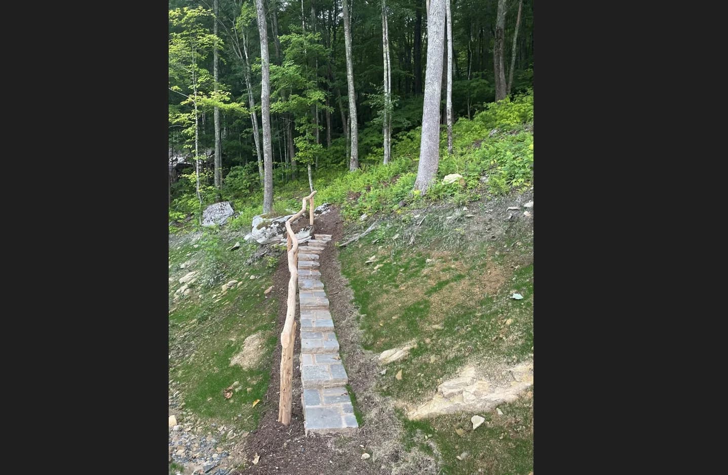 Up and Away - Image 71