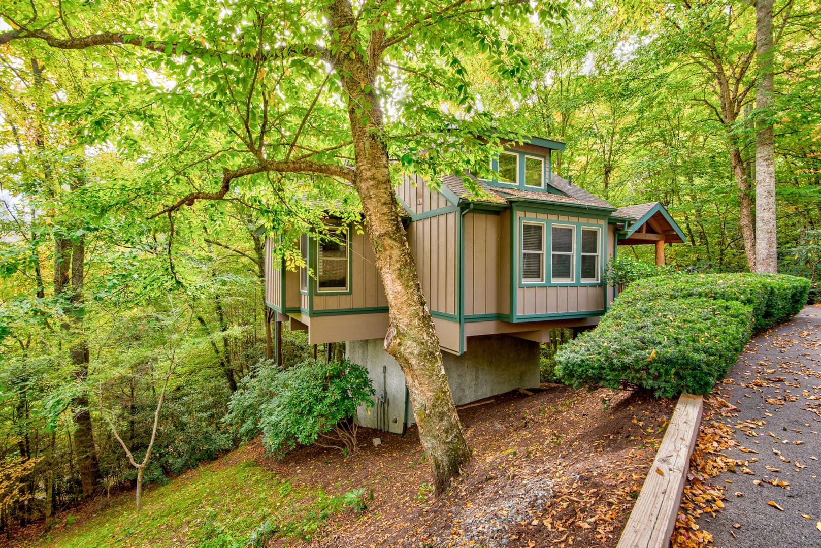 Tree House at Echota - Image 40