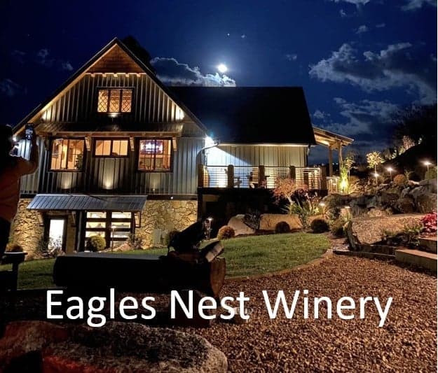 Grin Inn Bear - Image 28