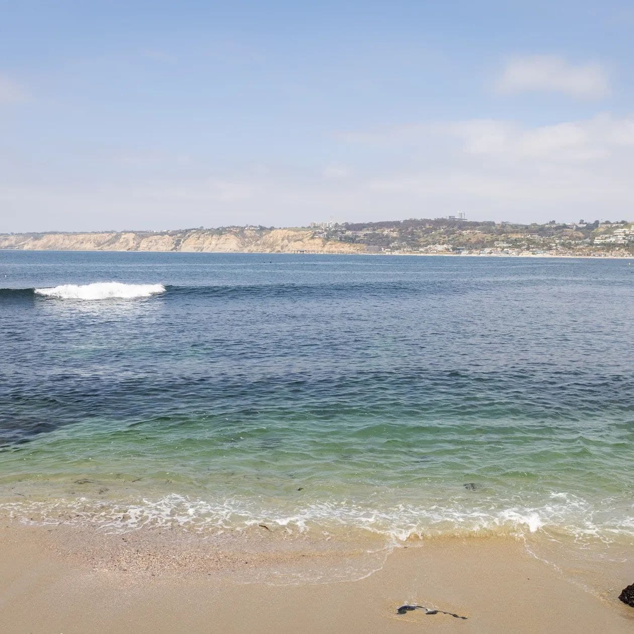 La Jolla Living - Image 42