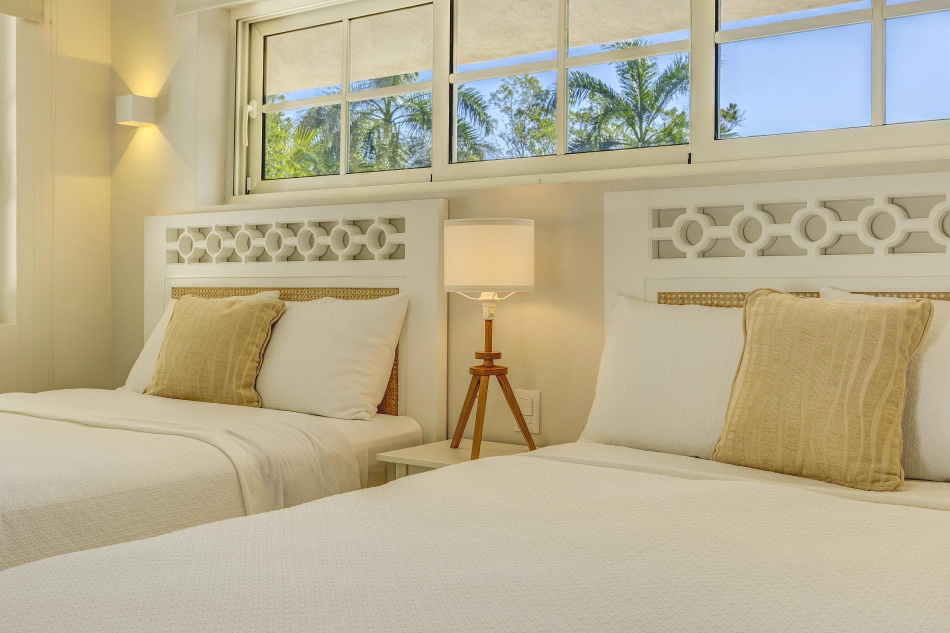 Tortuga #B55 - Image 15