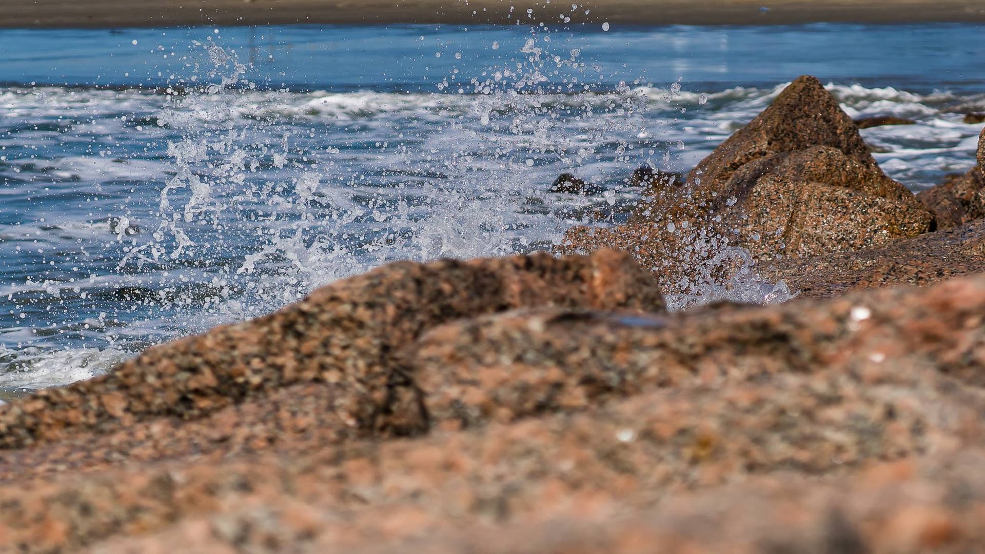 Sol Mates - Image 44