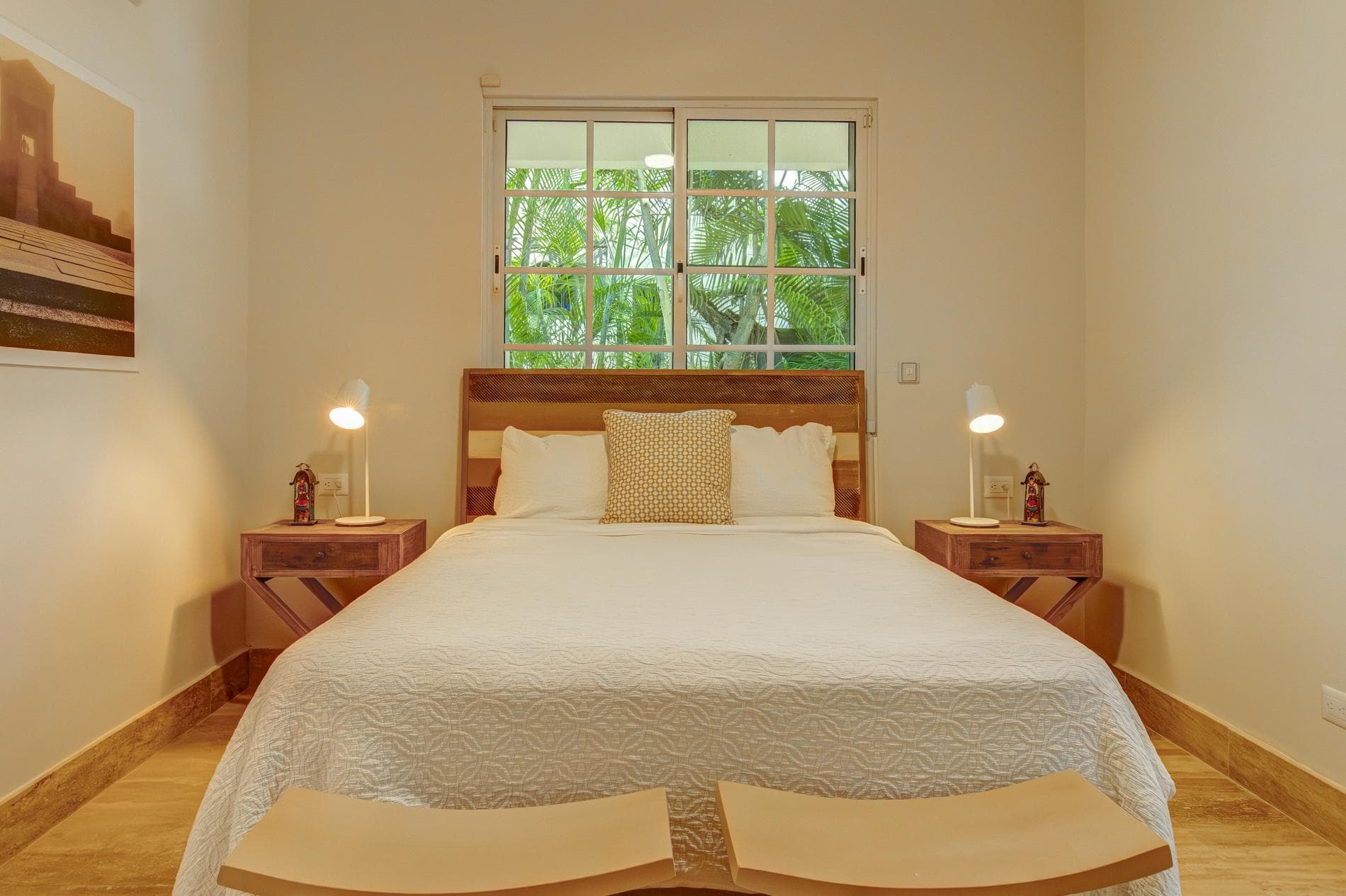 Tortuga #B55 - Image 4