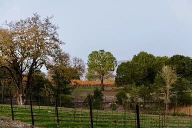 Arnold Creek Ranch - Image 45