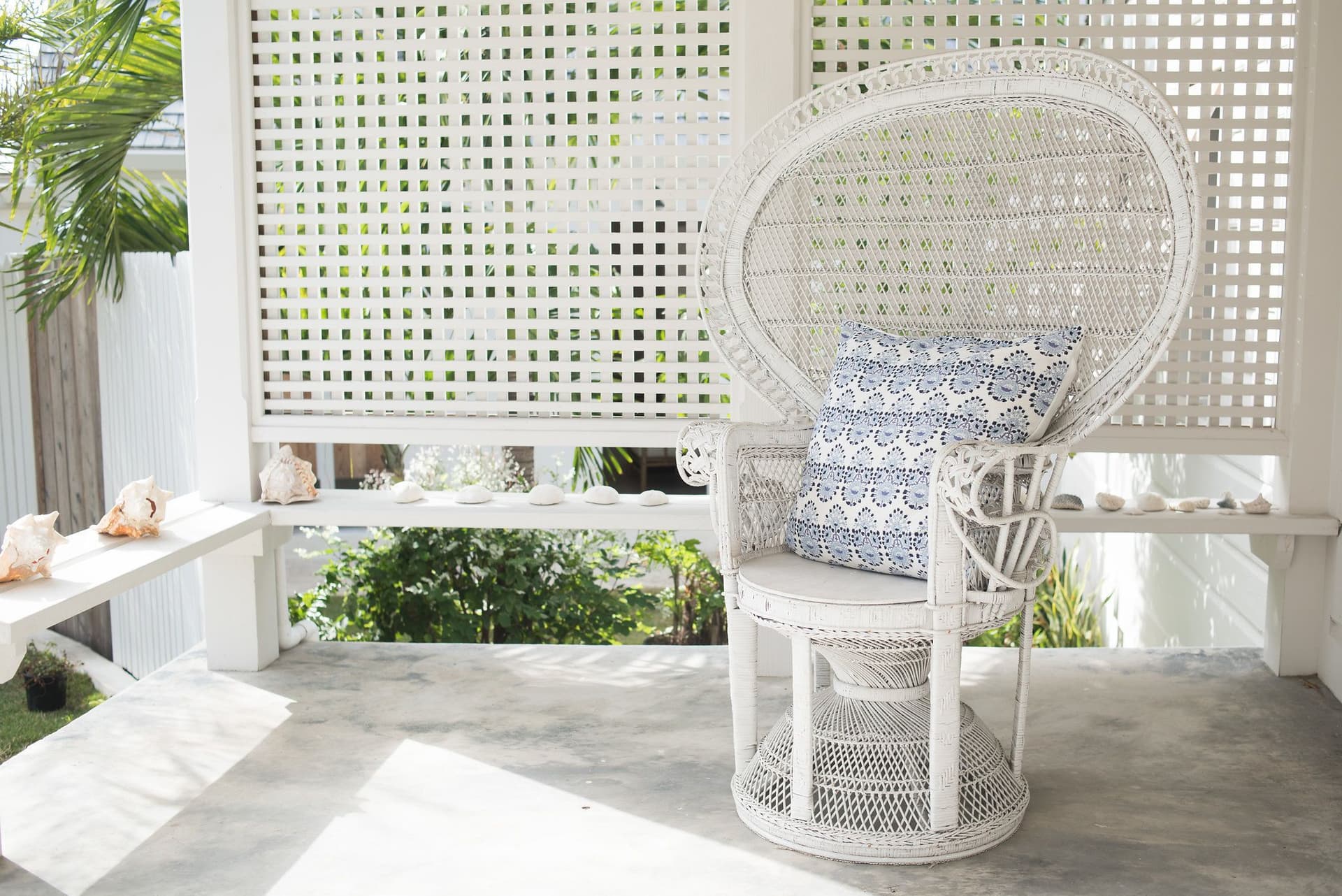 Conch Shell Harbour Island - Image 37