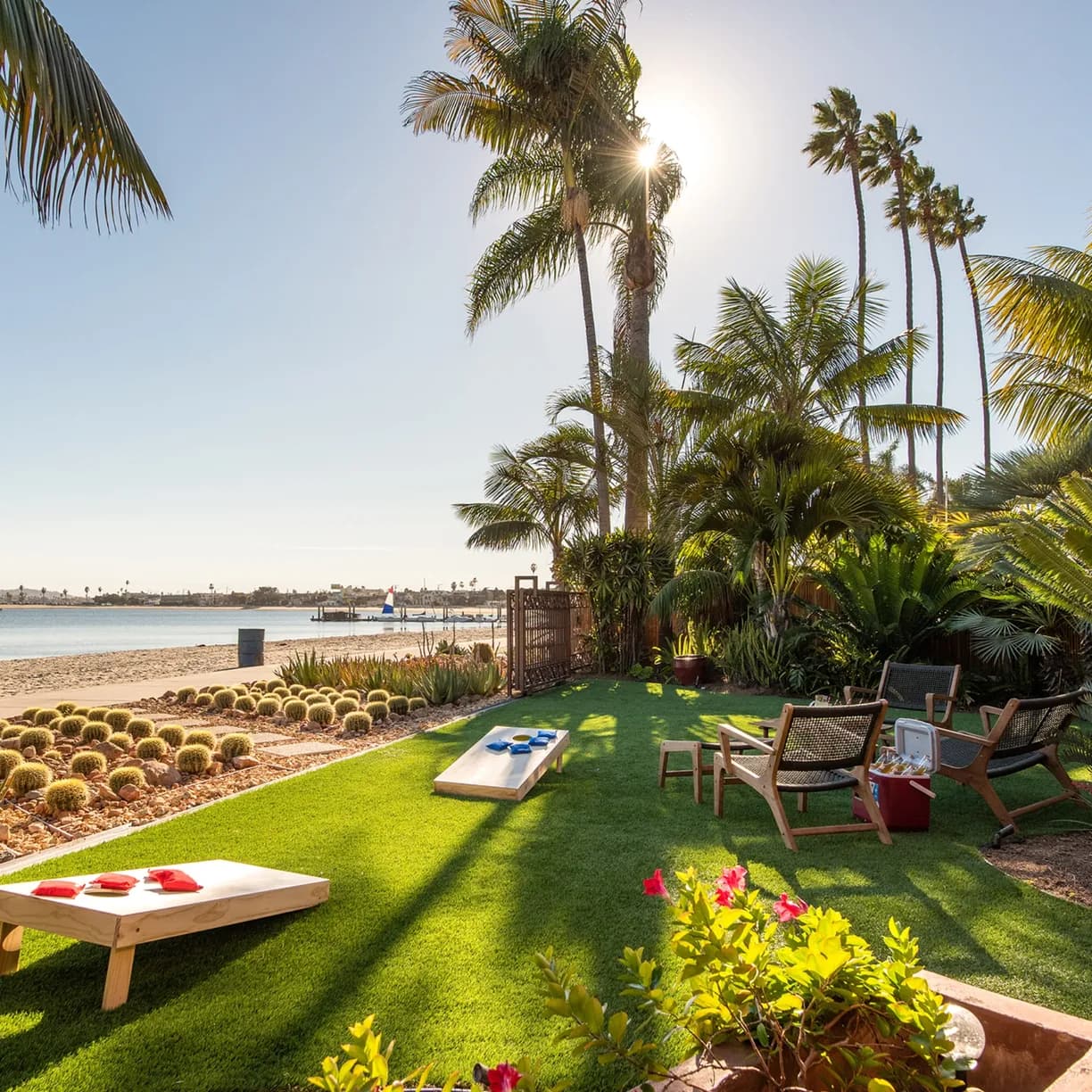 Endless Summer - Image 2