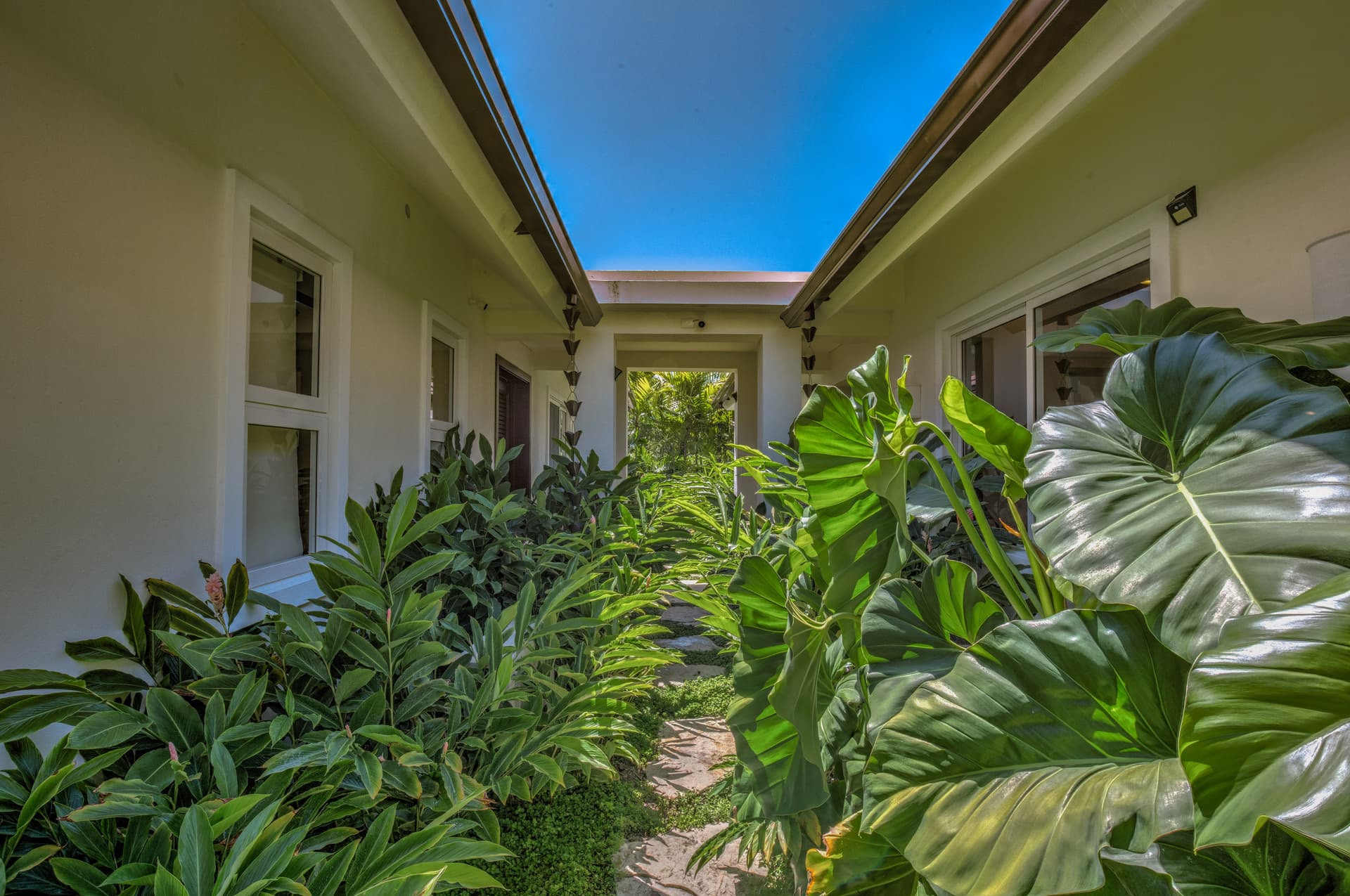 Hacienda Paraíso - Image 25