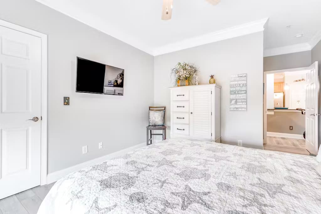 One Eyed Chihuahua - Image 18