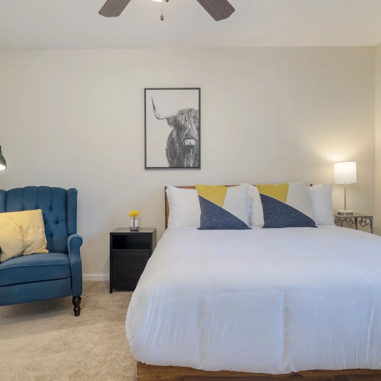 Sonoran Sunshine - Image 19