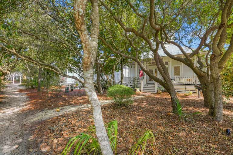 Sunny Bunny - Image 16