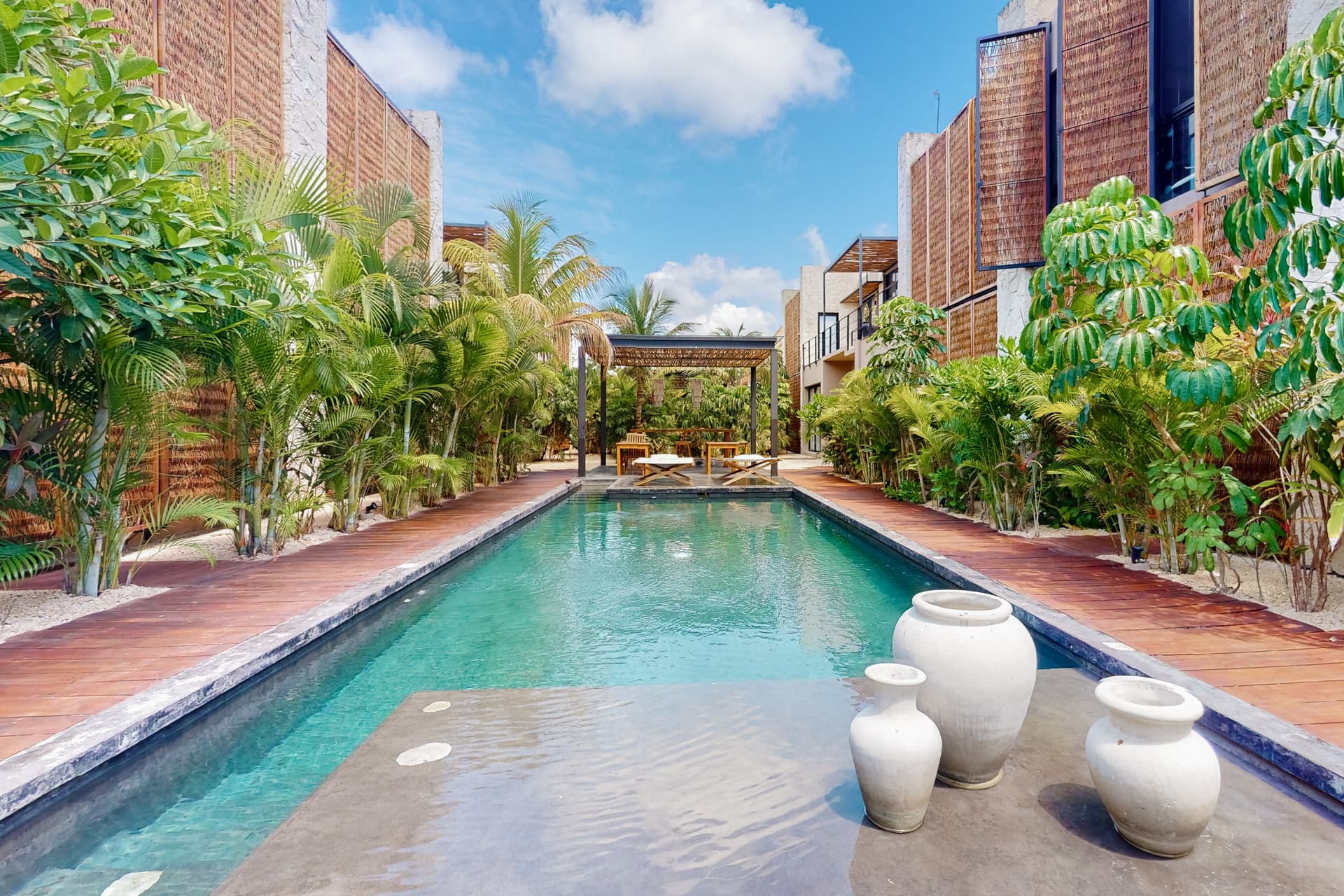 Fronds and Sun - Image 5