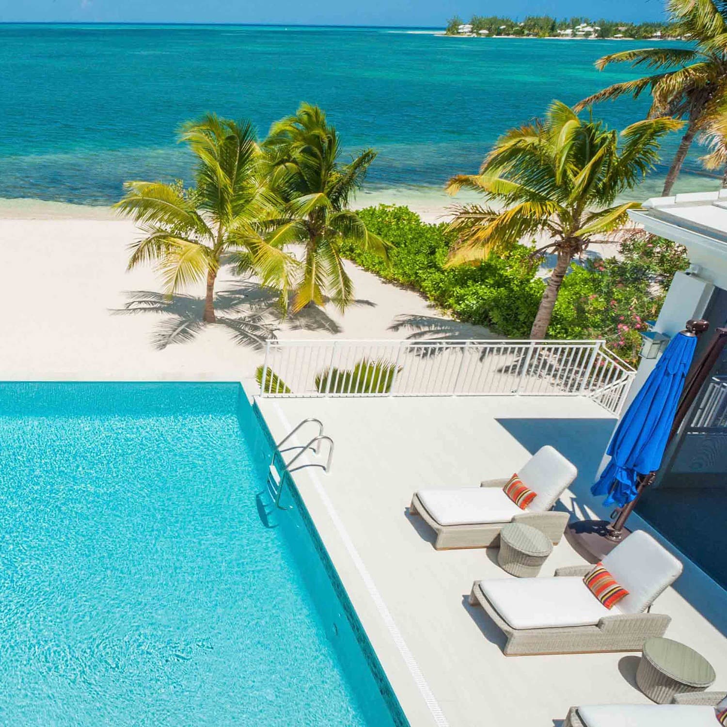 Tropical Majesty - Image 1