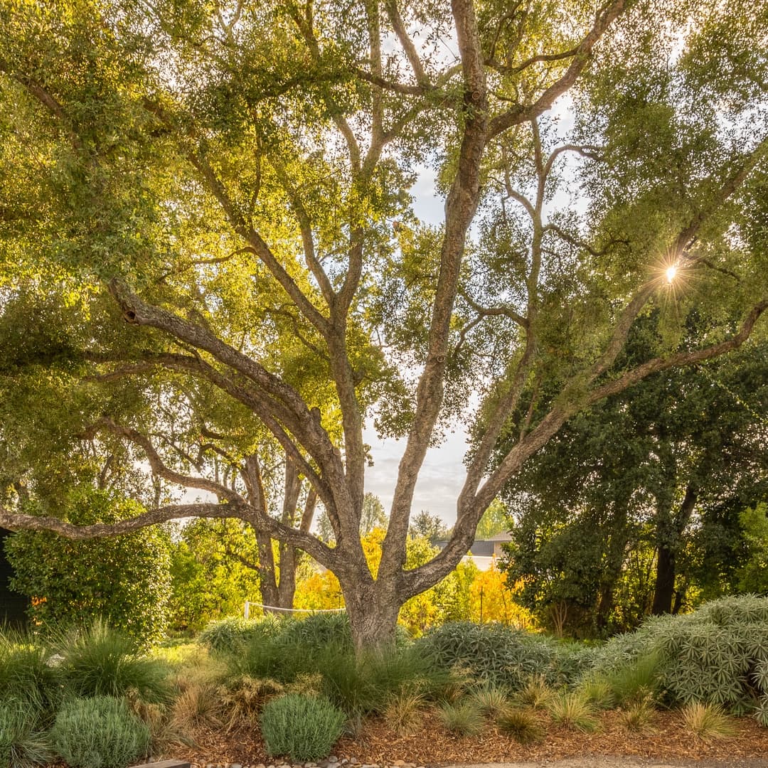 Fryer Creek Agriturismo - Image 55