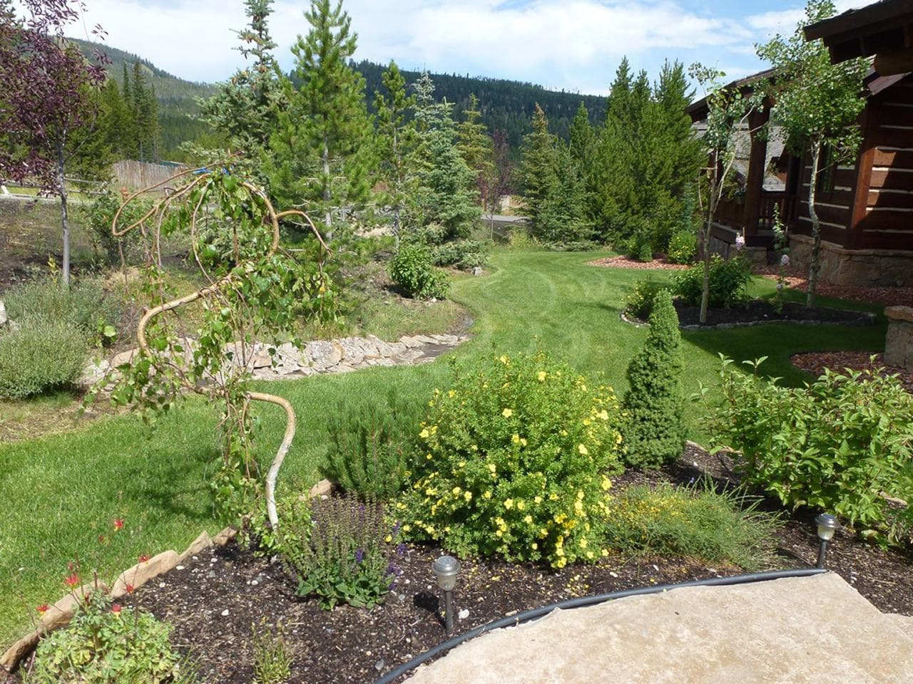 Settlement Cabin - Image 51