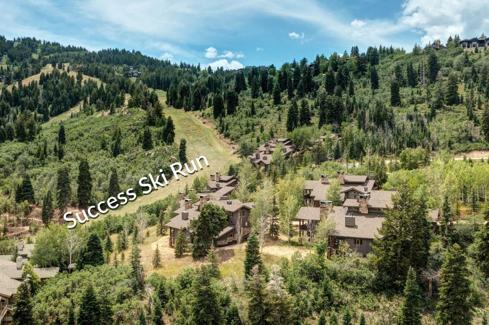 Success View - Image 43