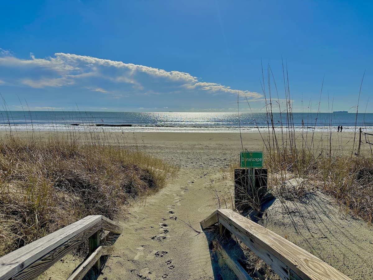 Dunescape Residence - Image 37