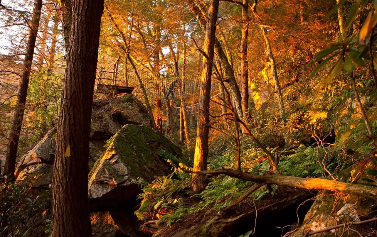 Peak A View Home - Image 46