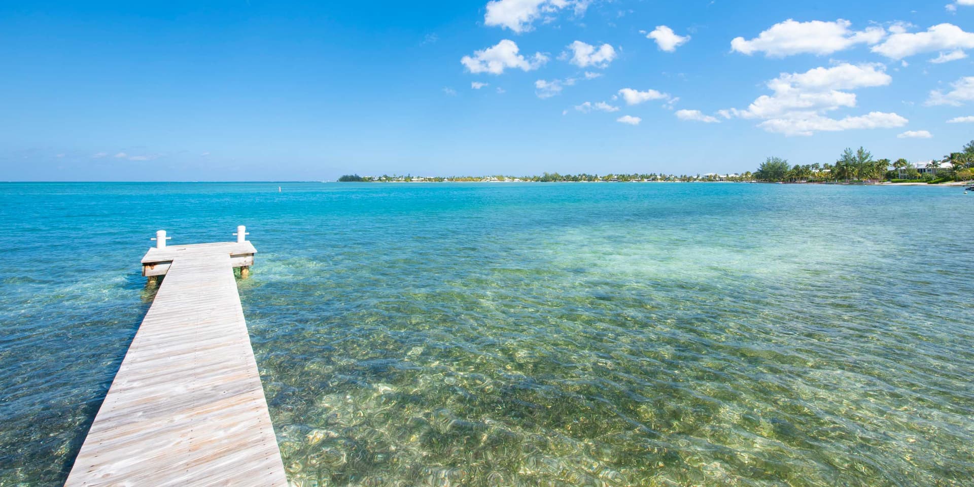 Kai Conut - Image 30