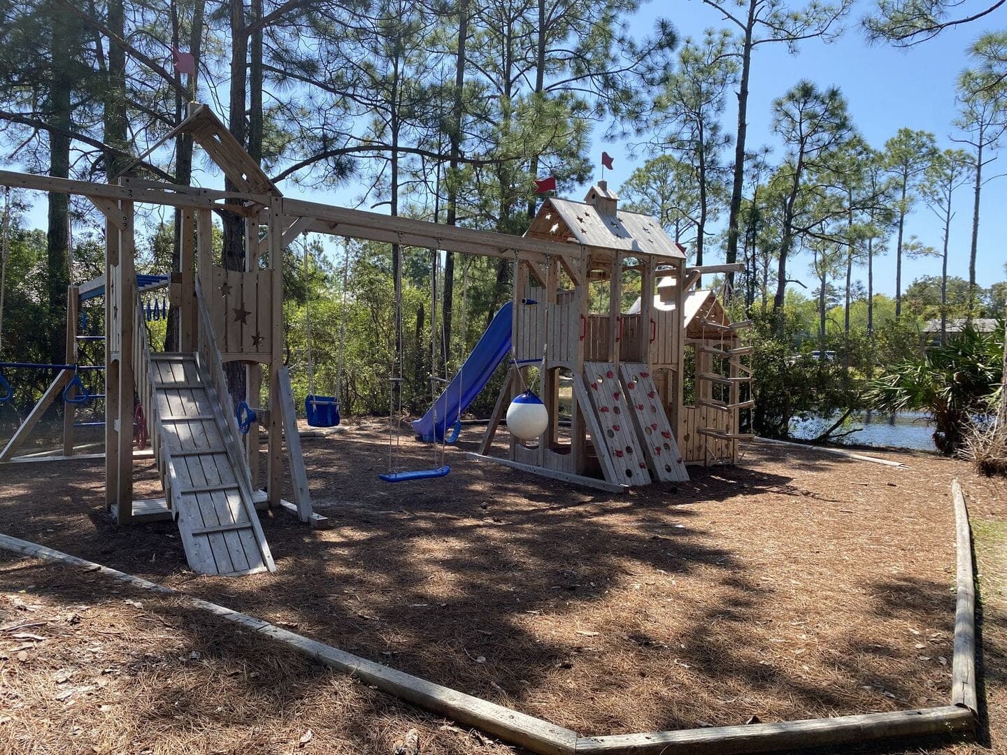 Longleaf Pines - Image 41