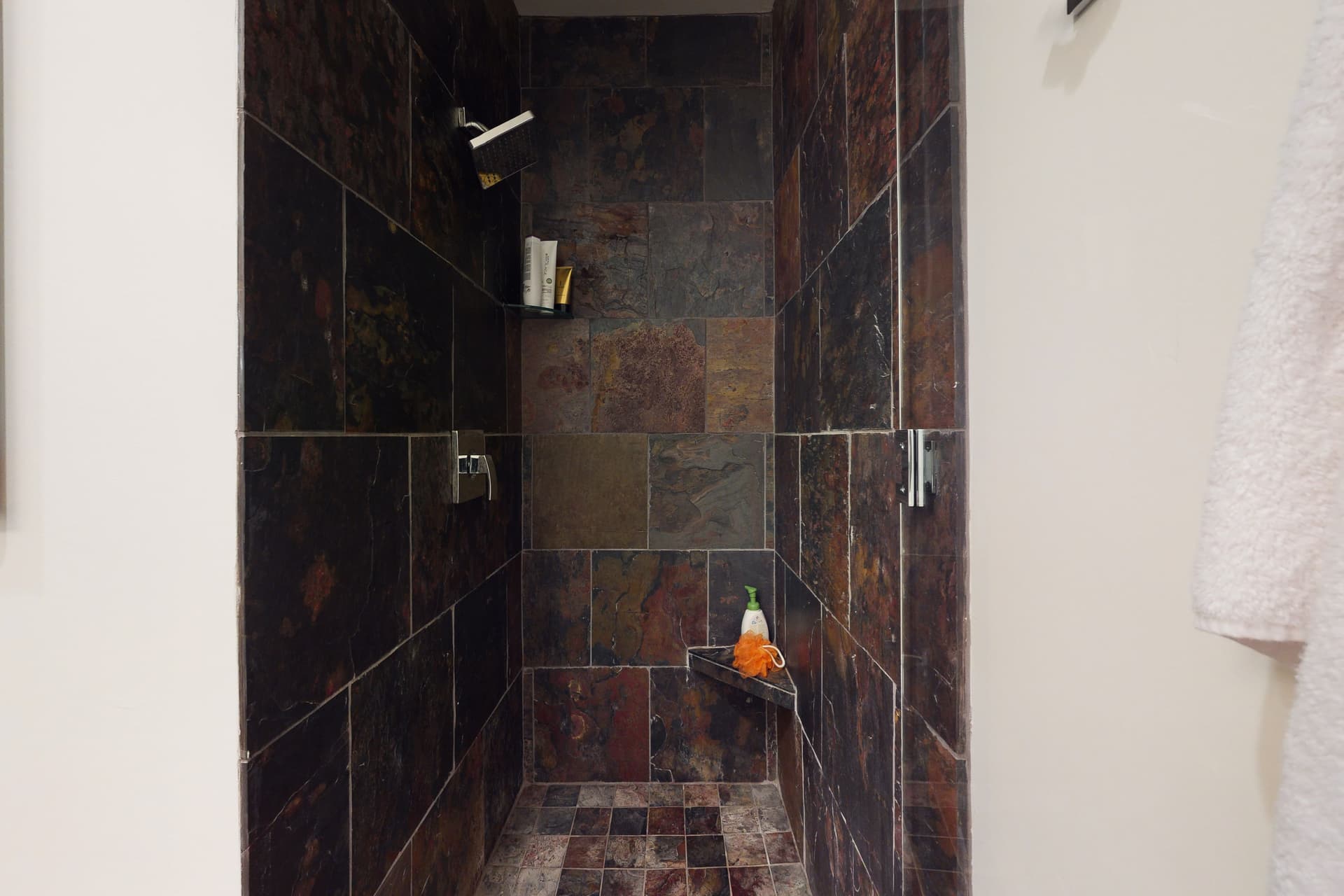 Belmont Beauty - Image 8