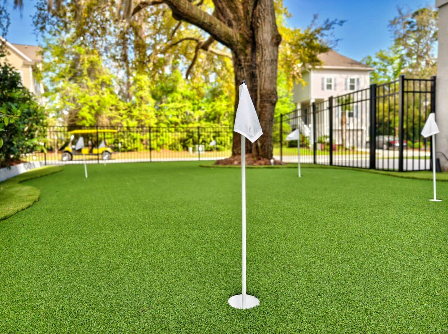 Golfers Dream - Image 100