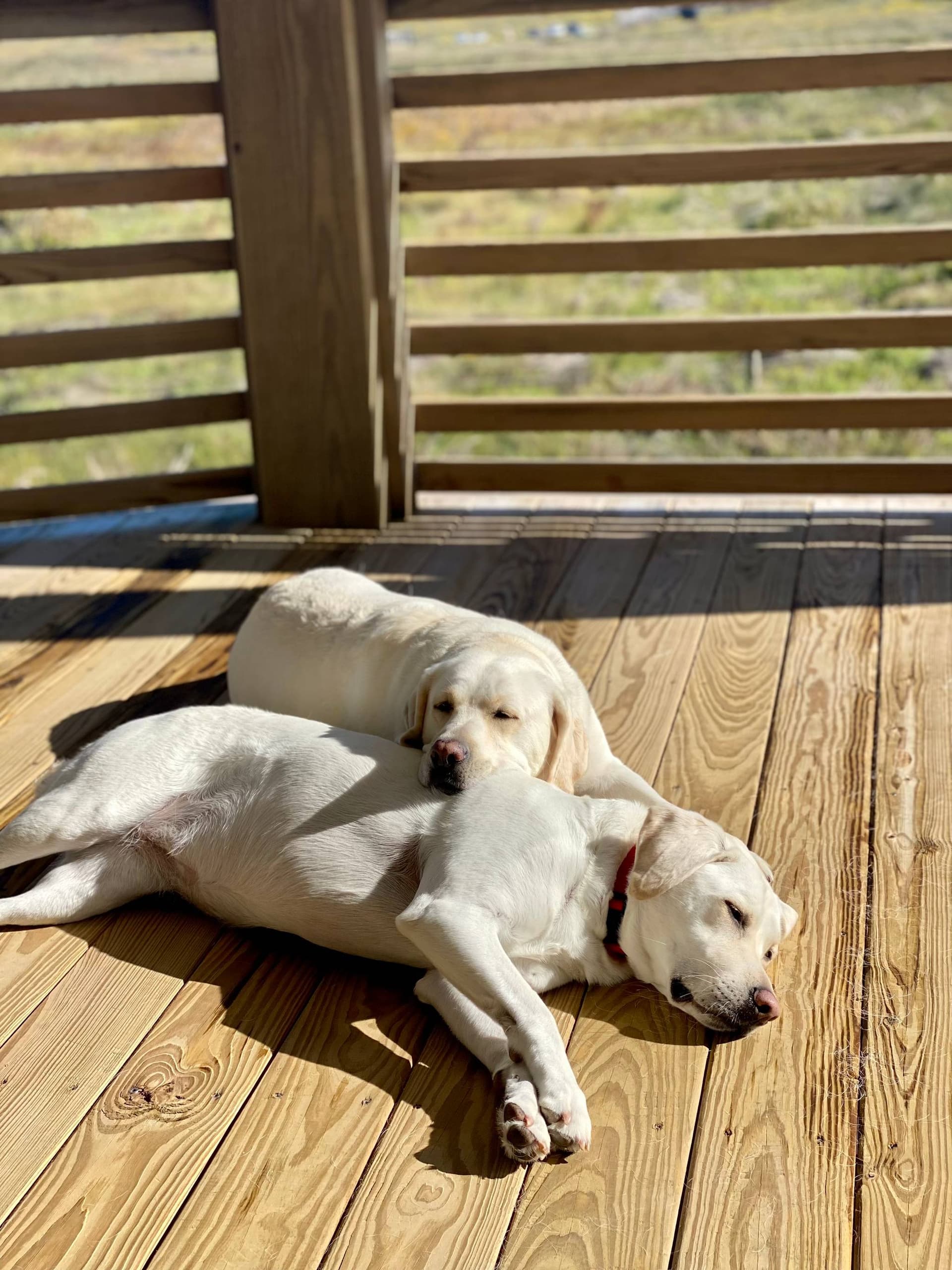 Casa Pura Vida - Image 12