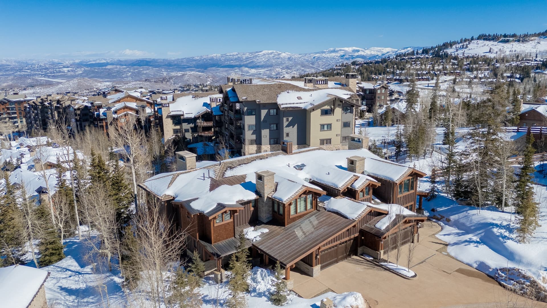 Silver Buck - Image 58