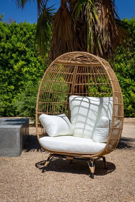 Lux Palmas - Image 15