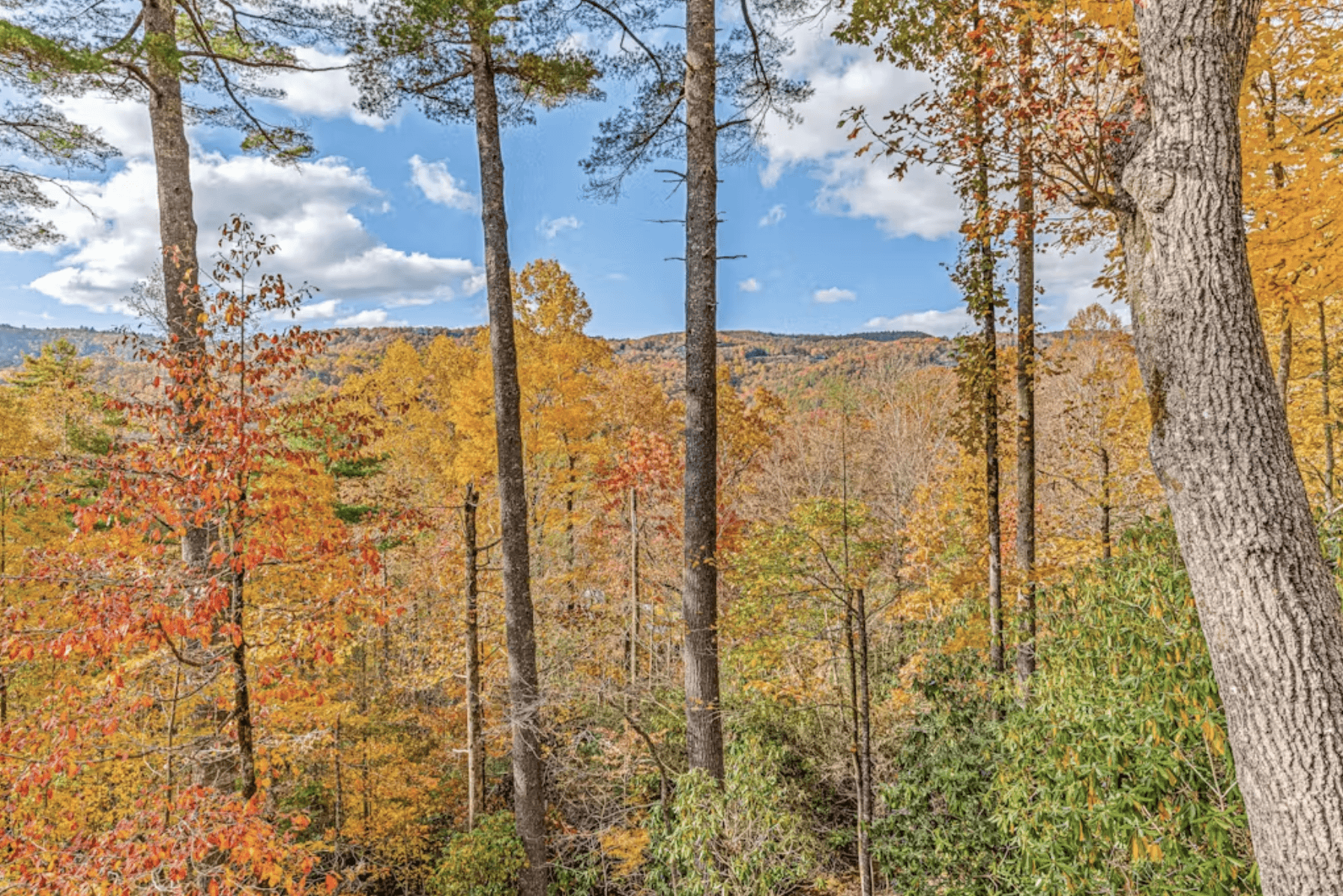 Sapphire Elegance - Image 51