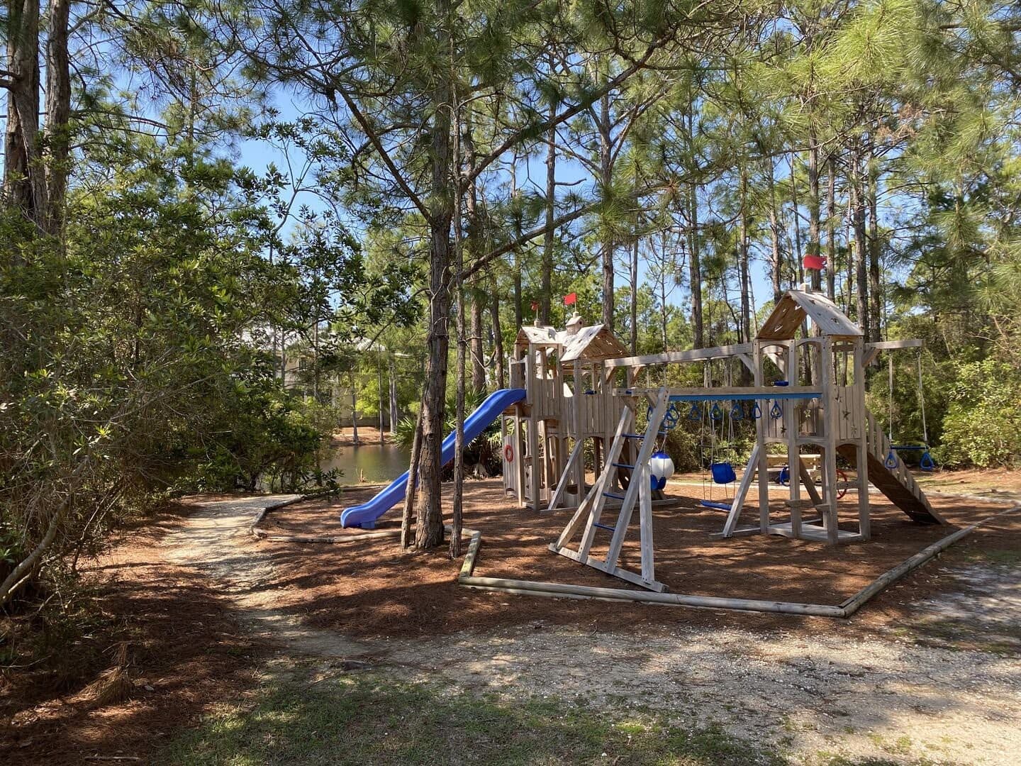 Longleaf Pines - Image 40