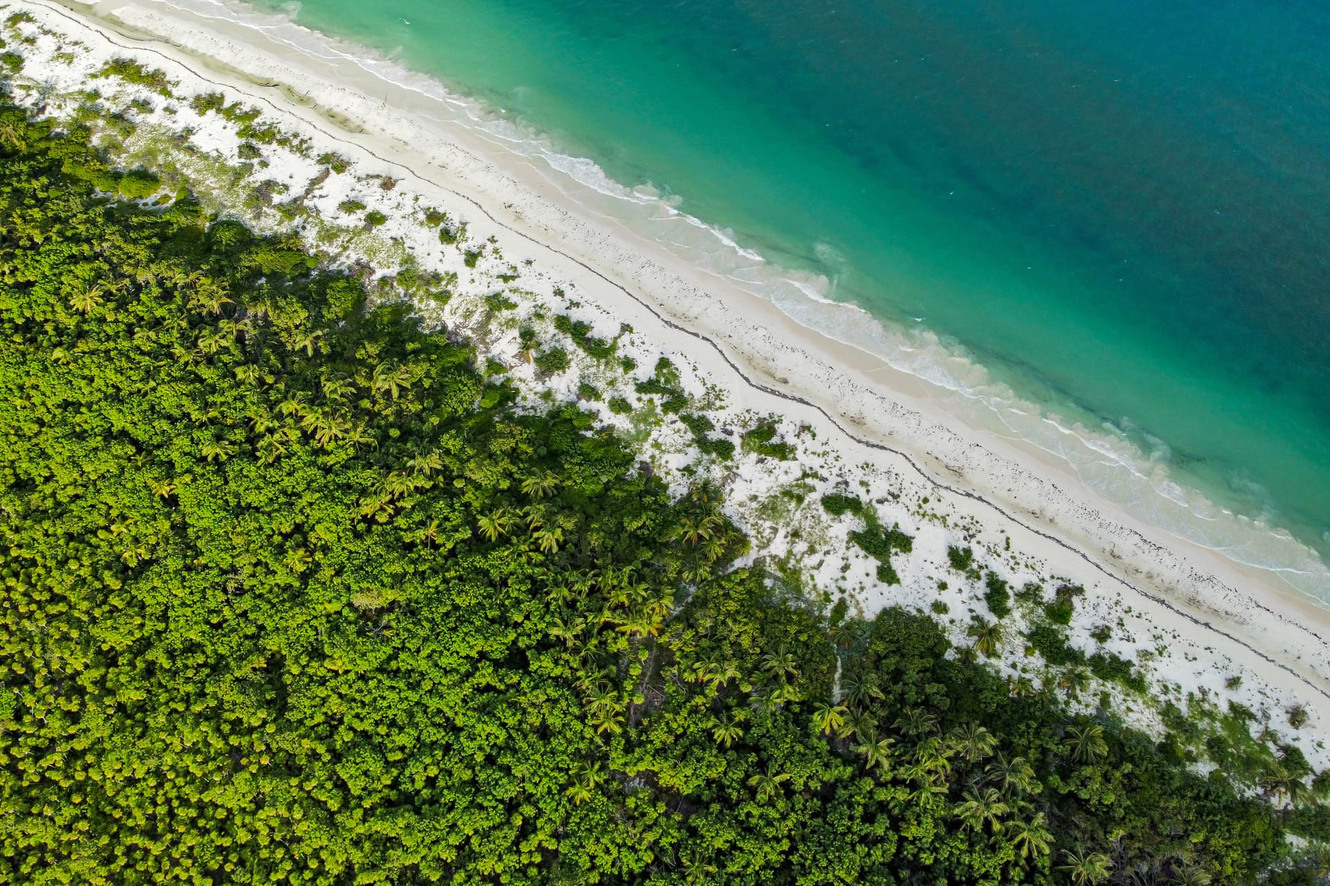 Gardens Coba - Image 23