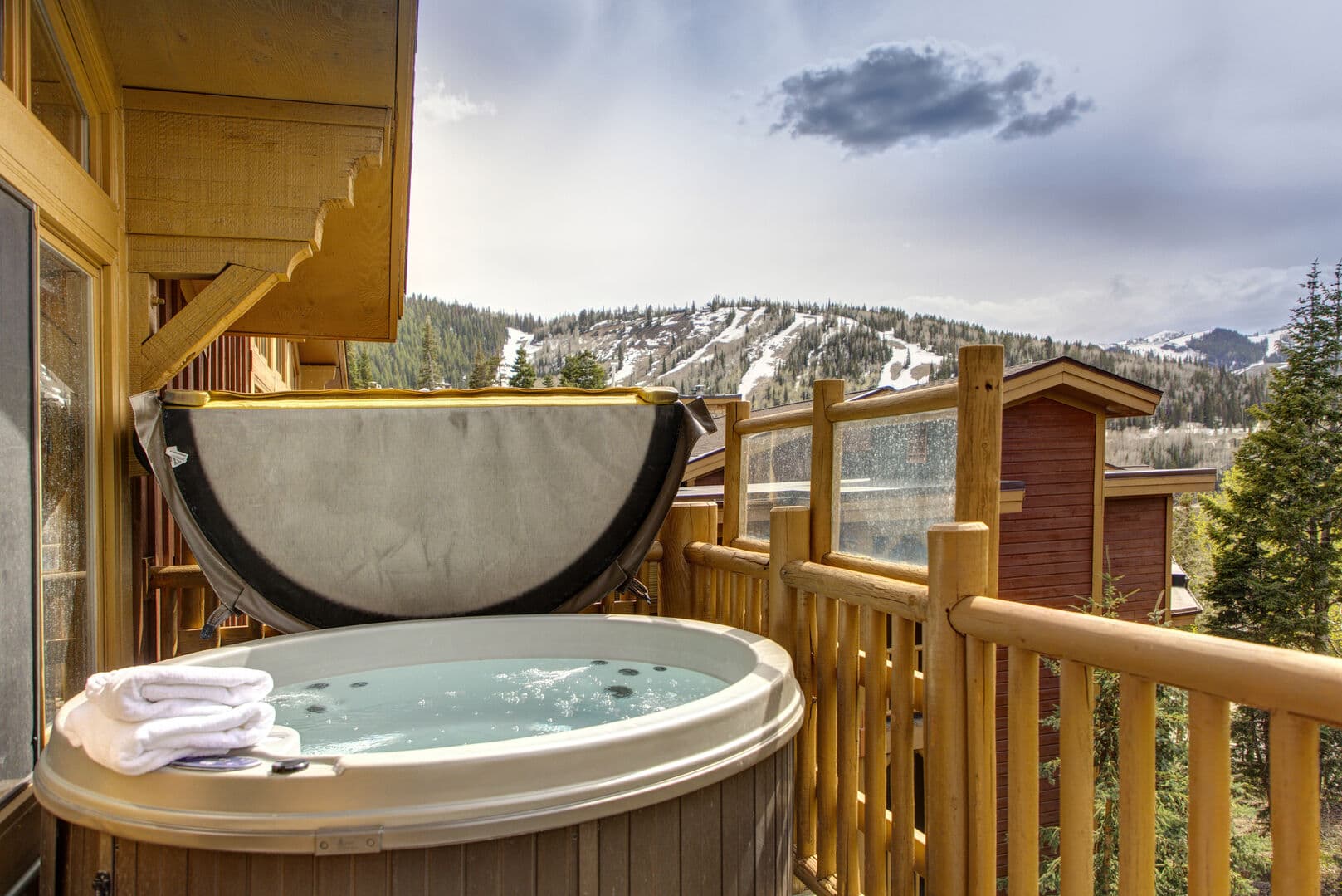 Black Bear 431 - Image 2