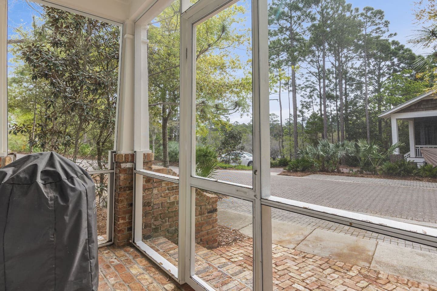 Longleaf Pines - Image 25