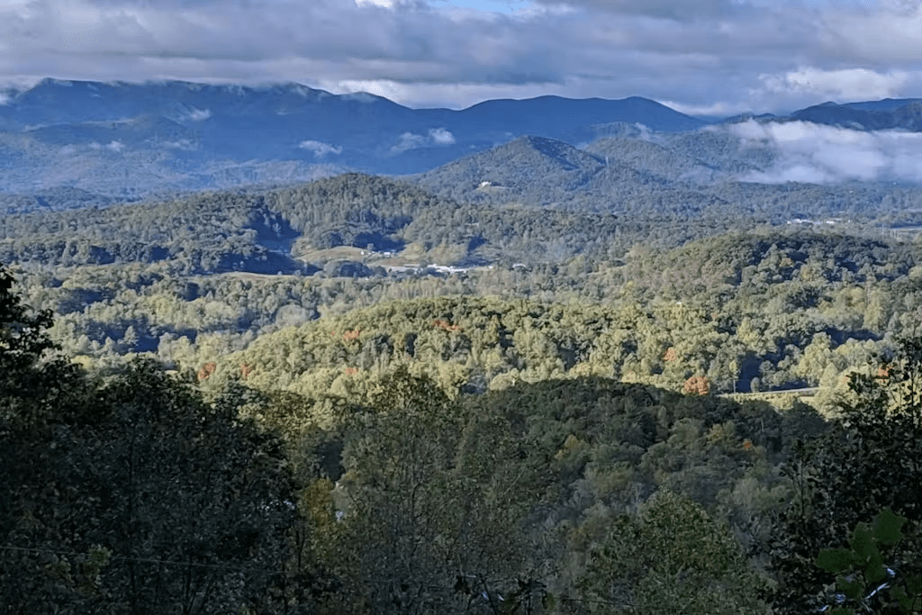 Black Bear Cabin - Image 34