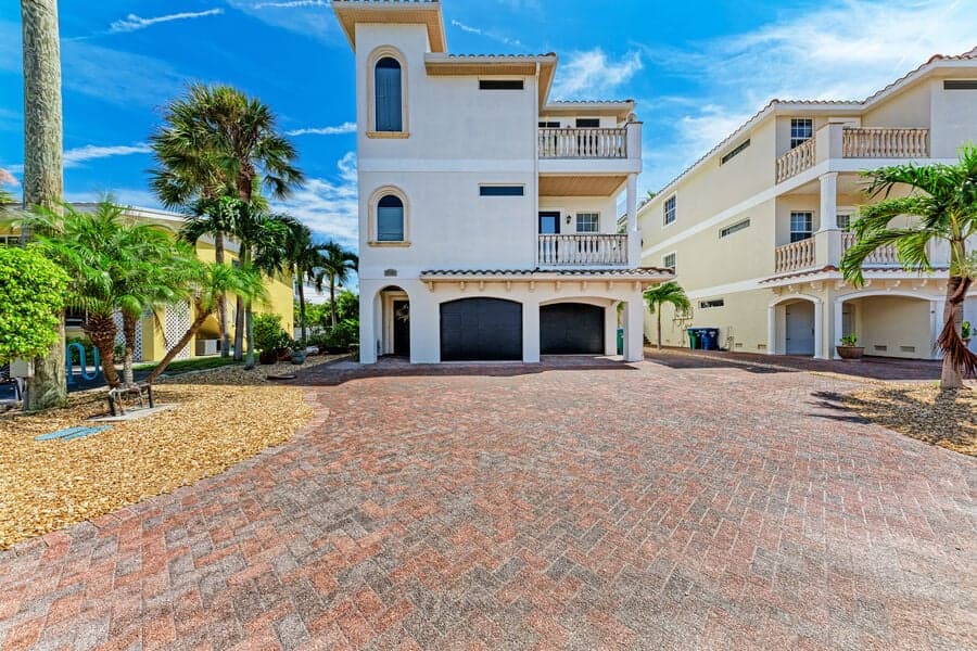 Island Nautilus - Image 35