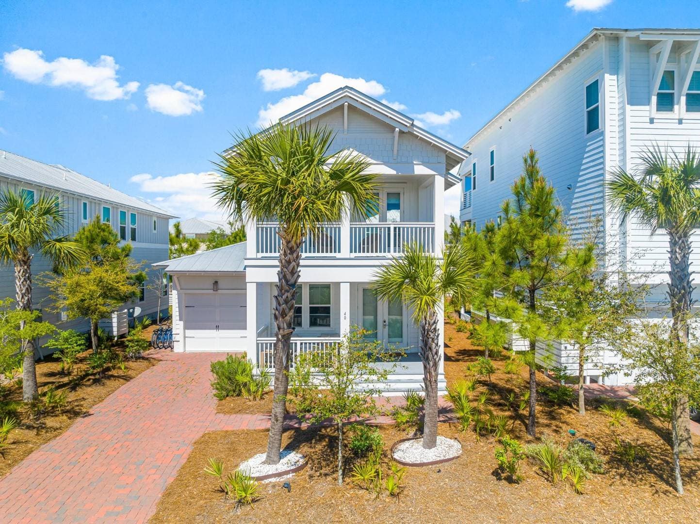 Palm Tree Paradise - Image 2