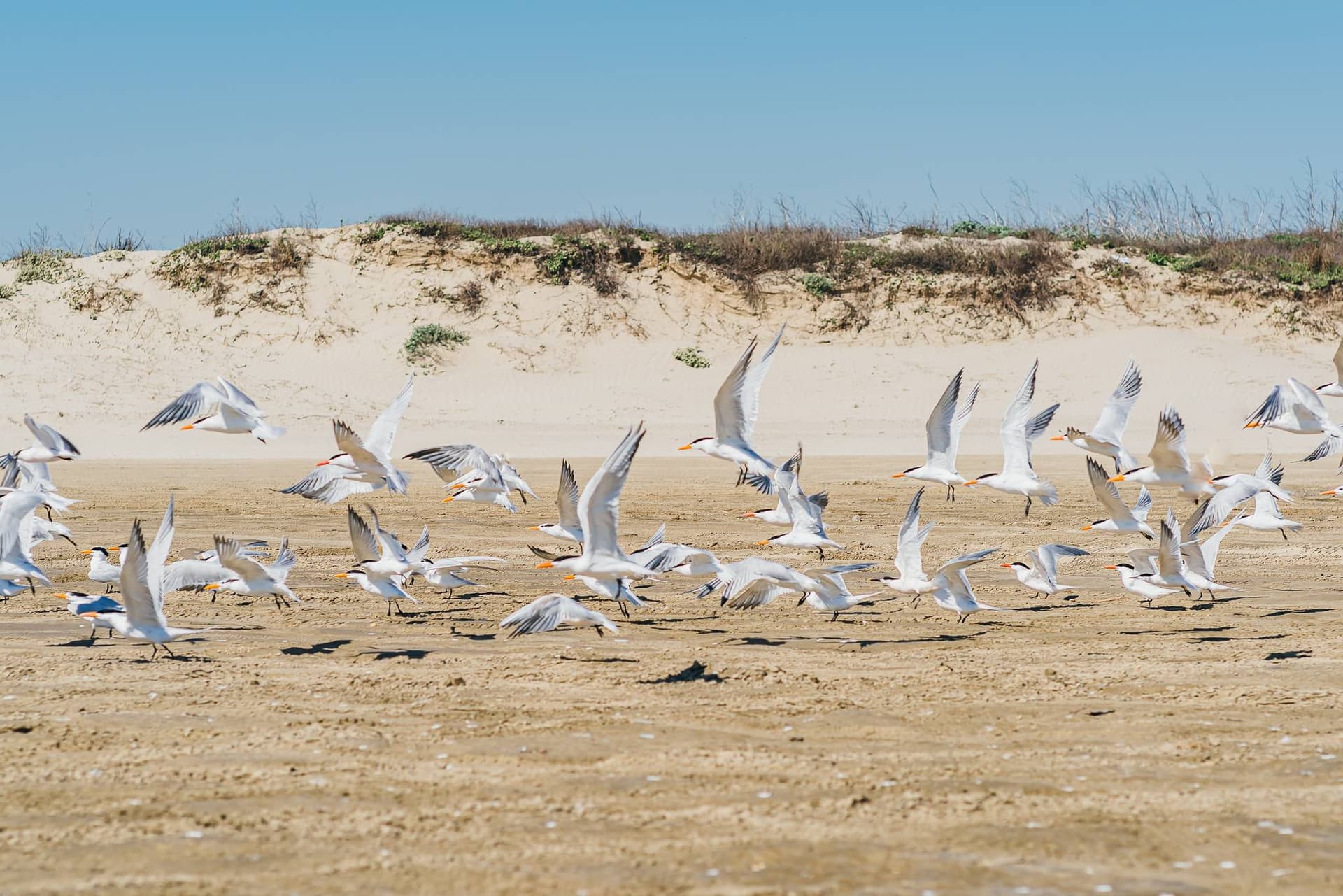 Sol Mates - Image 47