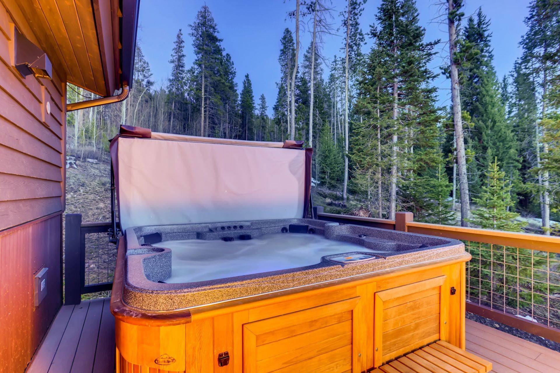 Bearadise Forest - Image 2