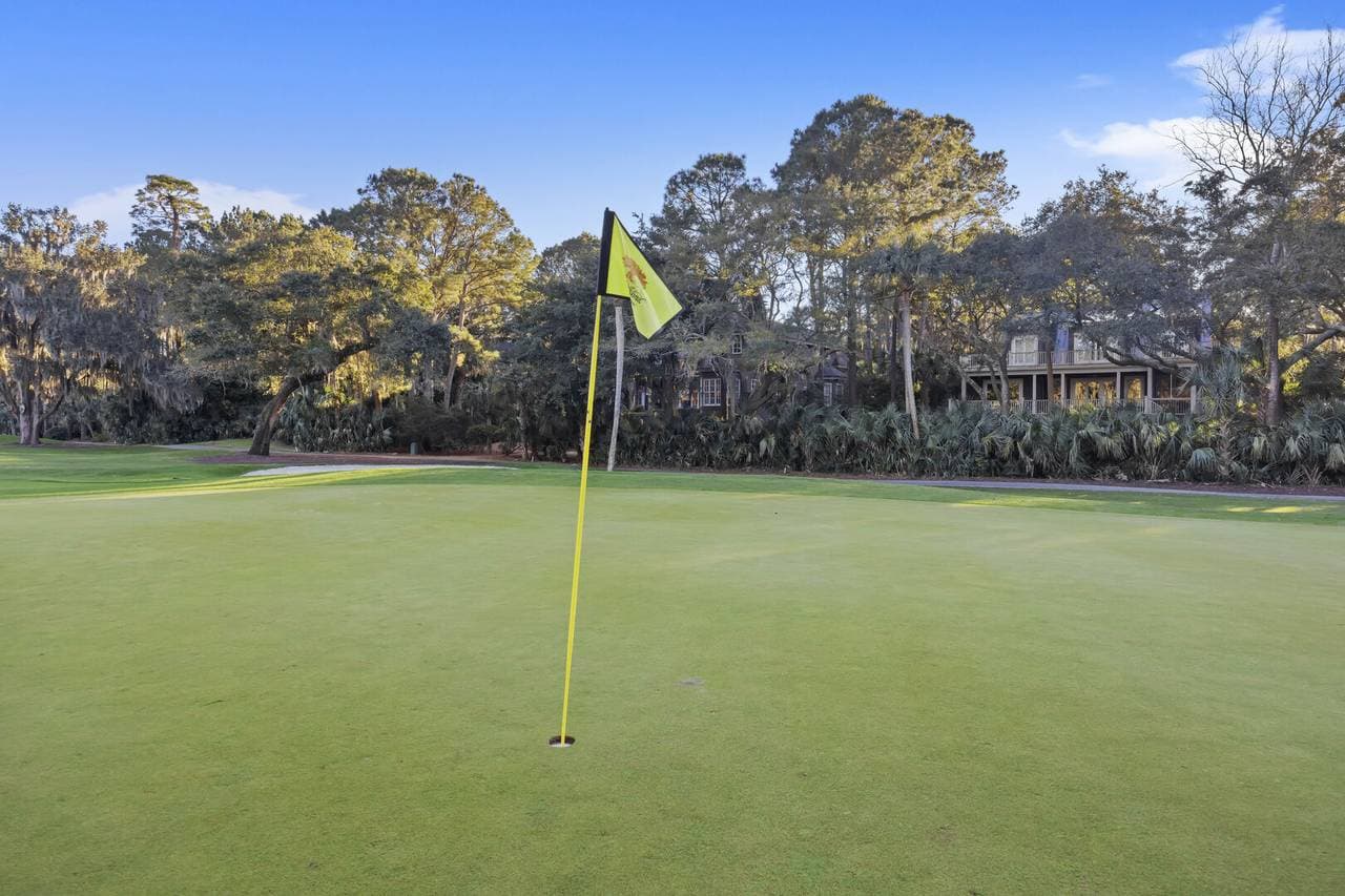 Yellow Throat Lane - Image 53