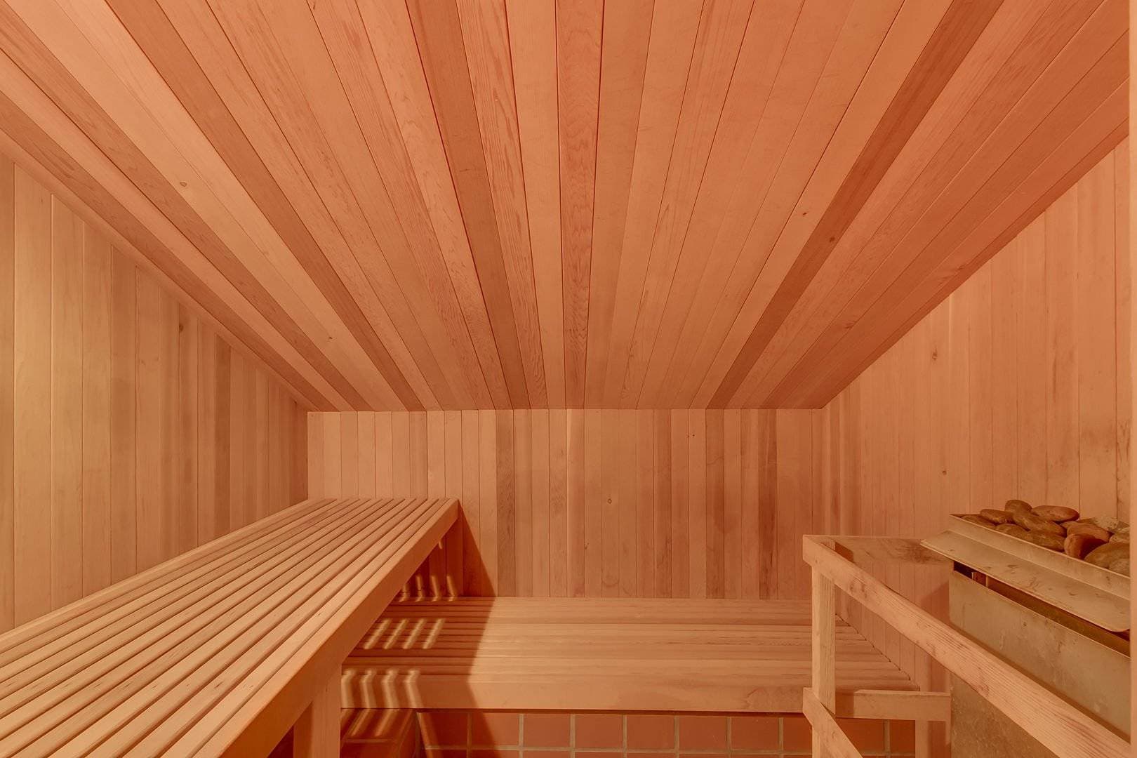 Tahoe Point of View - Image 30