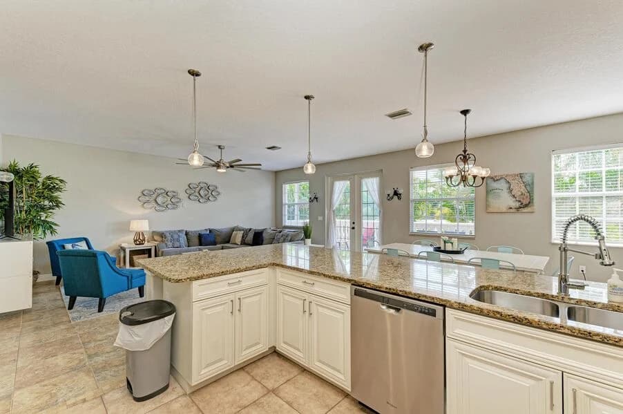 Island Nautilus - Image 5