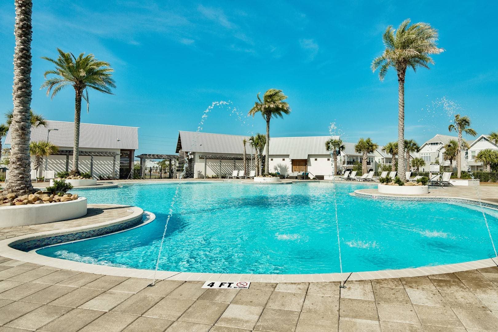 Palm Tree Paradise - Image 37